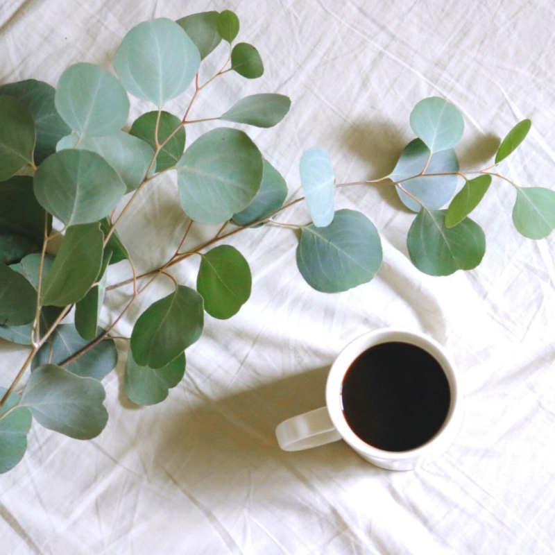 home decor uses for eucalyptus